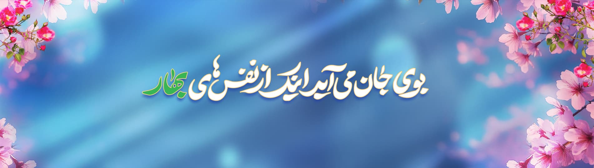 دانشگاه خاتم